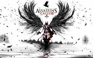Tapety na pulpit Assassin's Creed Assassin's Creed 2