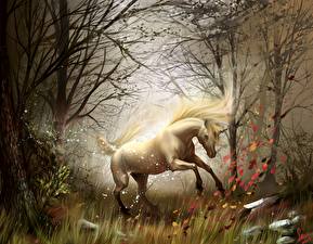 Images Magical animals Unicorns Fantasy