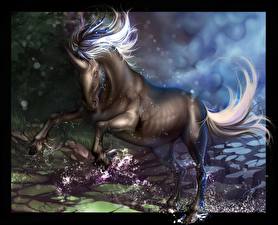 Sfondi desktop Animali magici Unicorni Fantasy