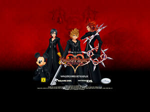 Picture Kingdom Hearts vdeo game