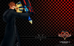 Hintergrundbilder Kingdom Hearts Spiele