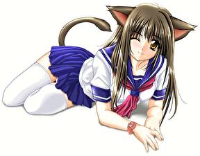Pictures Catgirl