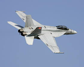 桌面壁纸，，飛機，战斗机，波音，Boeing-F-A-18F-Super-Hornet，航空