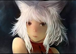 Bakgrundsbilder på skrivbordet Catgirl Anime