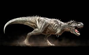 Papel de Parede Desktop nimais antigos Dinossauros Tyrannosaurus rex um animal