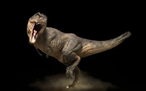 Bakgrundsbilder på skrivbordet Forntida djur Dinosaurie Tyrannosaurus