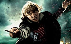 Papel de Parede Desktop Harry Potter Harry Potter e os Talismãs da Morte Rupert Grint Filme