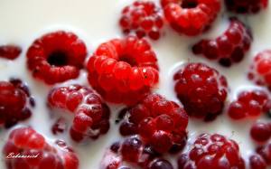 Wallpapers Fruit Raspberry  Food