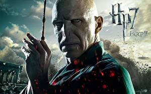 Papel de Parede Desktop Harry Potter Harry Potter e os Talismãs da Morte Filme