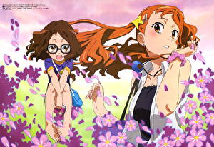 Wallpapers Anohana: the flower we saw that day