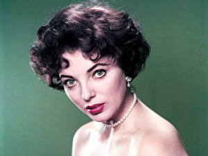 Tapety na pulpit Joan Collins