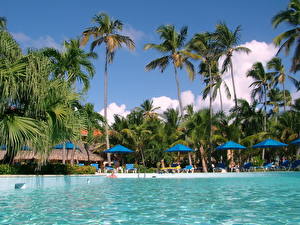 Fotos Resort Schwimmbecken Palmengewächse Städte