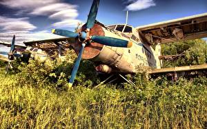 Fondos de escritorio Avións Viejo Aviación