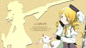 Bakgrundsbilder på skrivbordet Puella Magi Madoka Magica Anime