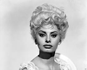 Bureaubladachtergronden Sophia Loren