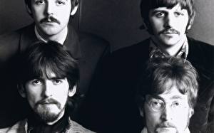 Wallpapers The Beatles Music Celebrities