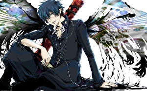 Tapety na pulpit Ao no Exorcist
