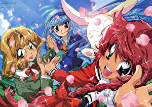 Bakgrunnsbilder Magic Knight Rayearth Anime