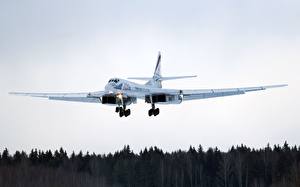 デスクトップの壁紙、、飛行機、Tu-160 (航空機)、飛翔、