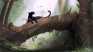 Fonds d'écran Fauve Noir panther un animal