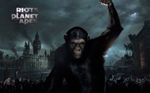 Bureaubladachtergronden Rise of the Planet of the Apes