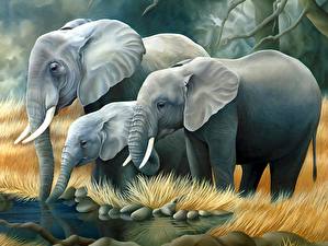 Photo Elephants animal