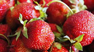 Fotos Obst Erdbeeren
