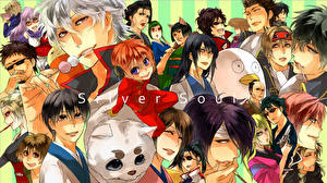 Picture Gintama