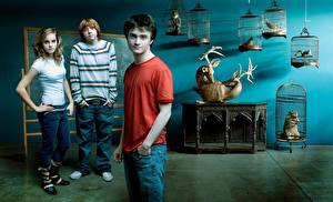 Papel de Parede Desktop Harry Potter Daniel Radcliffe Emma Watson Rupert Grint Filme