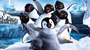 Fondos de escritorio Happy Feet - Rompiendo el hielo Pingüinos Dibujo animado