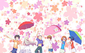 Wallpaper Anohana: the flower we saw that day