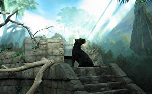 Fonds d'écran Fauve Noir panther Animaux