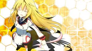 Tapety na pulpit IS: Infinite Stratos Anime