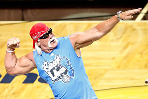 Hintergrundbilder Hulk Hogan Prominente