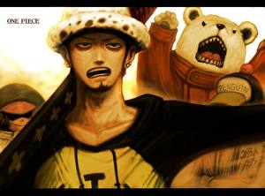 Bilder One Piece Anime