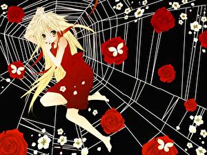 Photo Spider silk Anime