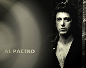 Fonds d'écran Al Pacino Célébrités