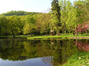 Bilder Parks Ukraine Karpaten Natur