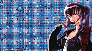 Desktop wallpapers Gakuen Mokushiroku: High School of the Dead Anime