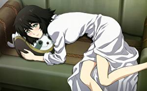 Pictures Steins;Gate Anime