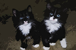 Bureaubladachtergronden Kat Geschilderde Kittens een dier