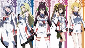Images IS: Infinite Stratos