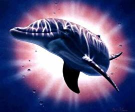Desktop hintergrundbilder Delfine ein Tier