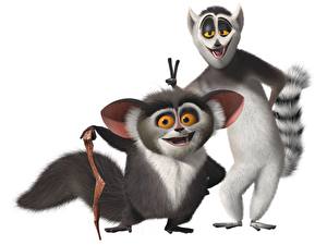 Sfondi desktop Madagascar