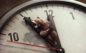 Fondos de escritorio Creativo Reloj analógico Reloj Un oso