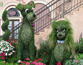 Sfondi desktop Molti Francia Parco Cani Walt Disney fiore Cartoni_animati