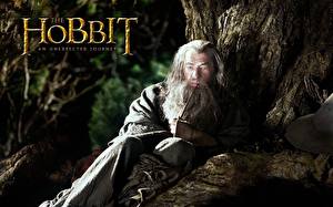 Bureaubladachtergronden The Hobbit