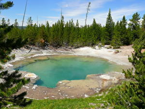 Pictures Parks USA Yellowstone Nature