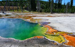 Fonds d'écran Parc USA Yellowstone Nature