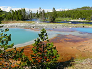 Bakgrunnsbilder Park Amerika Yellowstone Natur